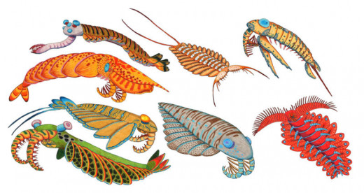 Possible Spider's Ancestors-Aquatic origin?