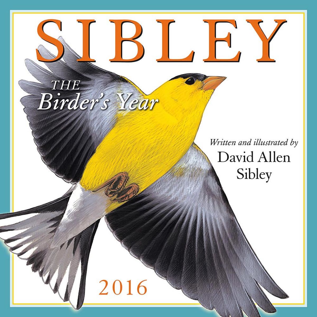 Sibley's Bird Calendars and Posters HubPages