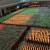 Chinese wheat field. Chinese wheat field.