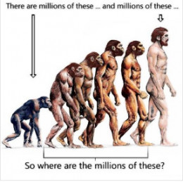 https://usercontent2.hubstatic.com/12690851_f260.jpg