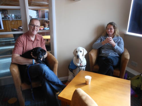 I fell in love with these two guide dogs for the blind! Wonderfully behaved.