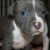 http://www.flickr.com/photos/maryamandathompson/3233553361/ http://www.flickr.com/photos/maryamandathompson/3233553361/