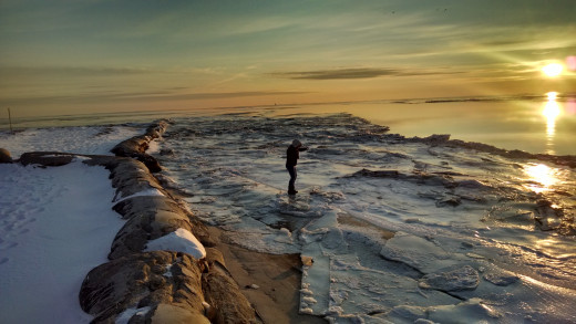 Even on the coldest of days there is still beauty to be seen. 