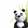 Phire2fire profile image