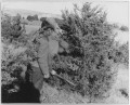 6 Christmas Traditions to Make the Holidays More Memorable