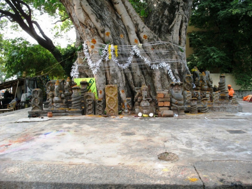 Worshiop-Of-Peepall-Tree