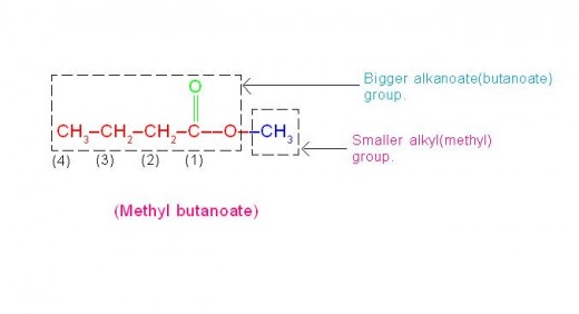 The bigger alkanoate part, carrying an ester group forms longest and continuous carbon chain. Please note that carbon of ester group is always assigned number 1 of the longest chain.