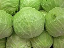Nice firm cabbages, good start to a meal!