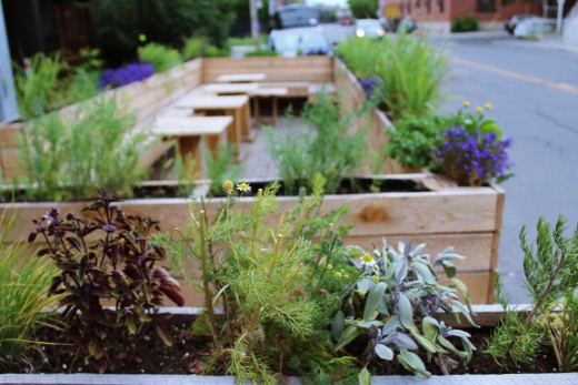 Manitoba's herb box