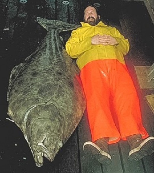 Pacific and California Halibut Facts Large and Unusual Fish HubPages