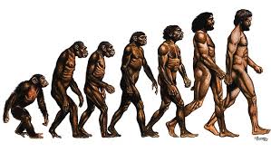 man's depiction of evolution does not explain the races.