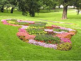 A flowerbed
