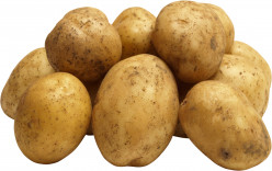 Potato Facts