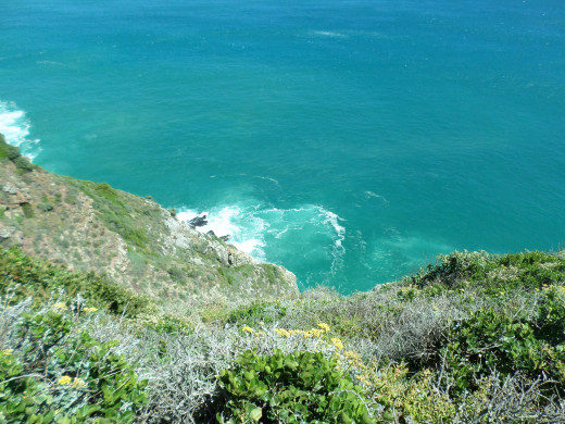 The view from the top of Chapman's Peak