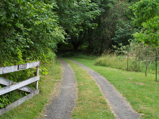 Ultimately it is our muse who decides the path of our writing