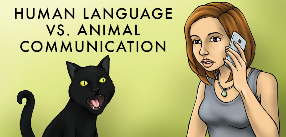 The Difference Between Animal and Human Communication | Owlcation