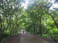 Have you visited Sanjay Gandhi National park in Borivali yet ?