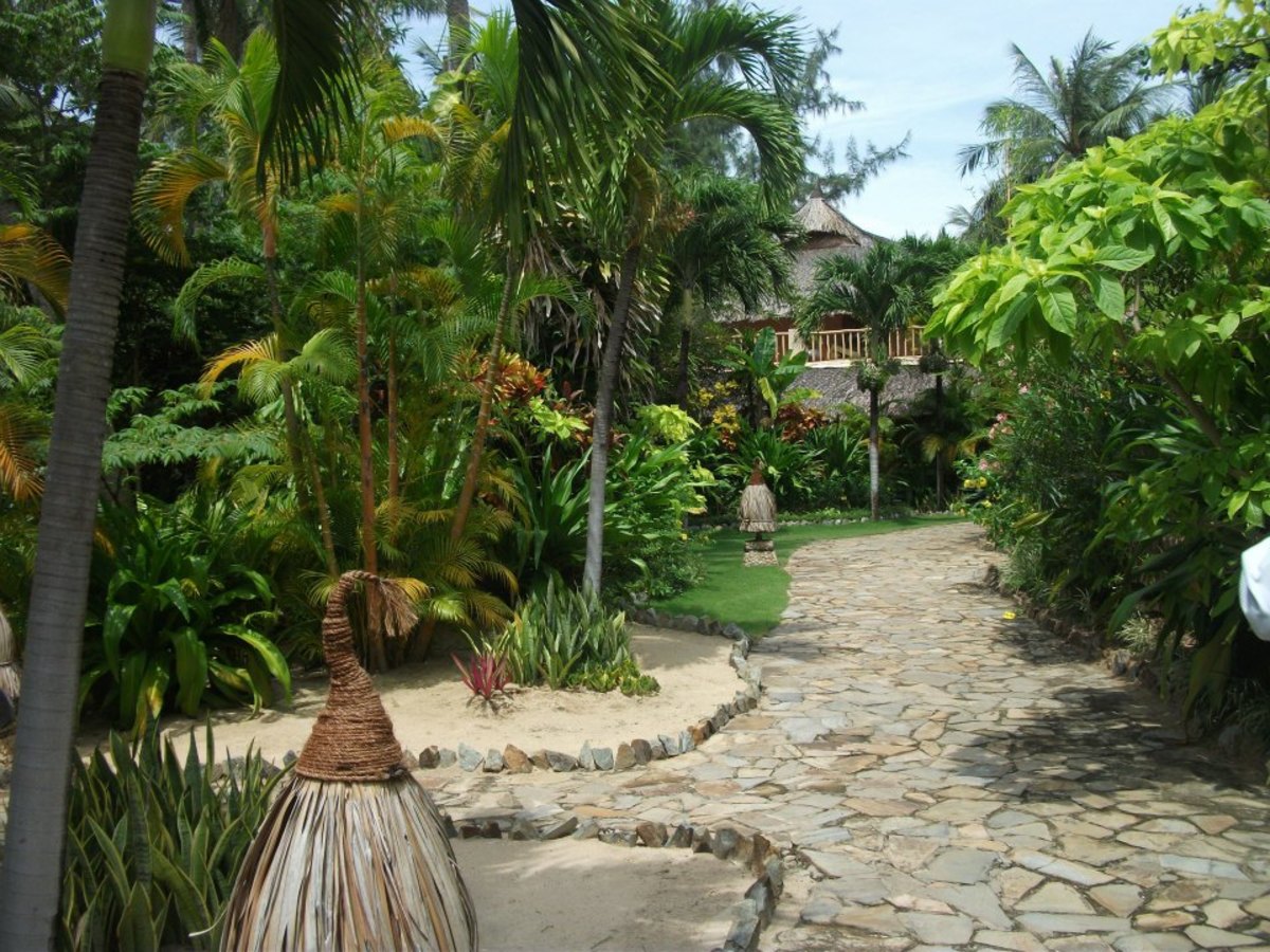 Lush green bushes abound within a resort