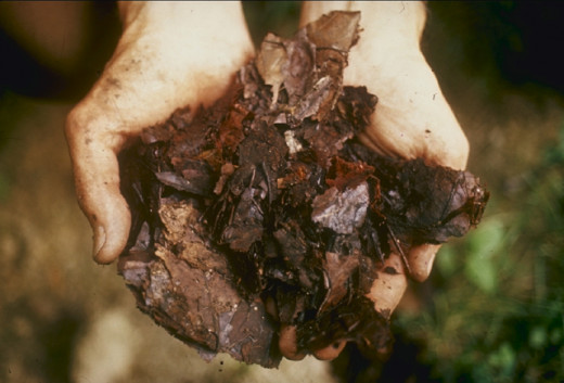 Compost, ready to use in your garden or on plants