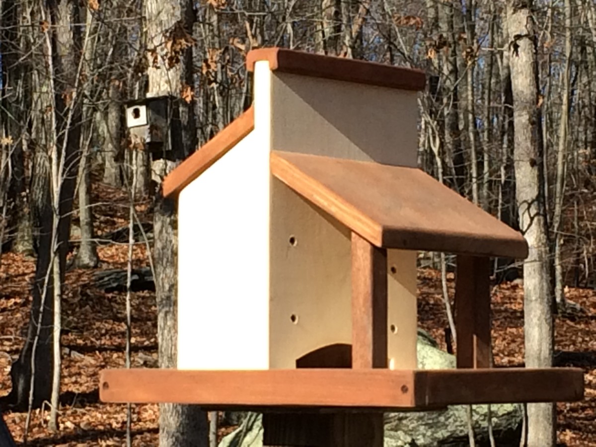 Screech Owl House Plans: How to Build a Screech Owl Box ...