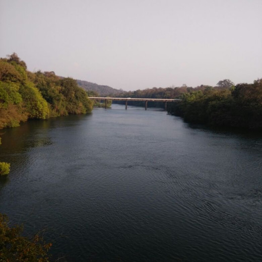 Kali River view from a spot near Supa Dam - This spot is famous to view Malabar Pied Hornbills fly off during their return to the roosting sites.