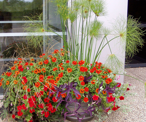 Image by Field Outdoor Spaces