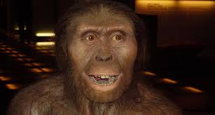 Hominds