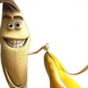 haass profile image