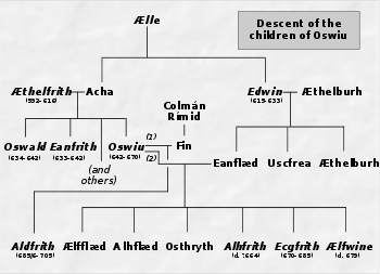 Oswy's line: ascendants, siblings and descendants 