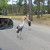 Serengeti Park, Hodenhagen, Germany Serengeti Park, Hodenhagen, Germany