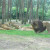 Serengeti Park, Hodenhagen, Germany Serengeti Park, Hodenhagen, Germany