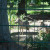 Wisentgehege Springe, Springe, Germany Wisentgehege Springe, Springe, Germany