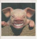 HubPages profile picture for @ryder