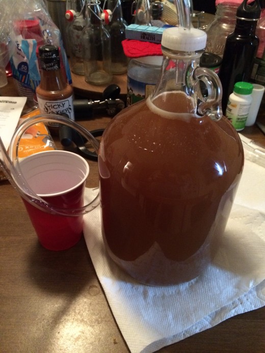 Here's my first batch of hard cider bubbling away right after I added my yeast.