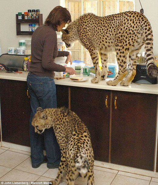 Wow! Your furry friends are a little bigger than mine!