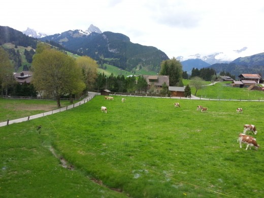 Picturesque Serene Switzerland