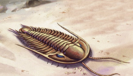 Trilobite