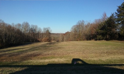 This photograph was taken sometime in the middle of December 2015 of the same field after the farmer finally decided to perform the second cutting and harvesting.