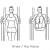 Requires a rack. Holding the weight of your upper body on your forearms bring your legs up from the waist. Straight leg, tight bent knee, or lose bent knee.