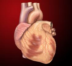 10 of the Worst Foods For Heart Health