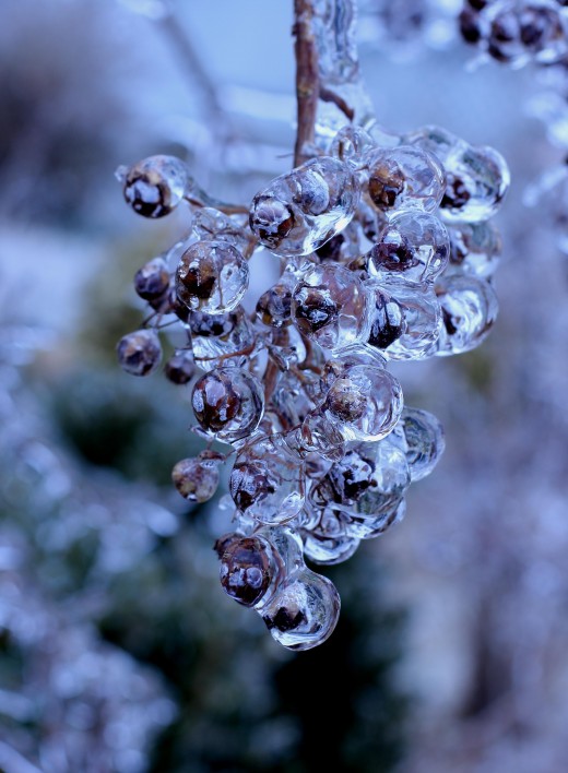 stillness waits: A poem