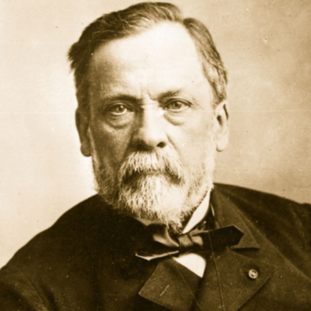 louis-pasteur-his-life-and-discoveries-hubpages