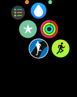 Automated Health Tracking With Apple Watch & Other Gadgets - A Comprehensive Picture Of Yourself & A Way To Lose Weight