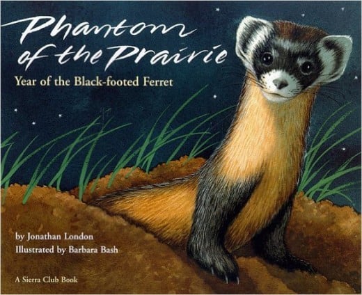 Phantom of the Prairie: Year of the Black-Footed Ferret by Jonathan London