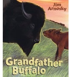Grandfather Buffalo by Jim Arnosky (This image is from scholastic.com.)