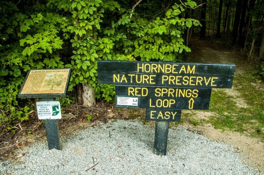 Hornbeam Nature Preserve