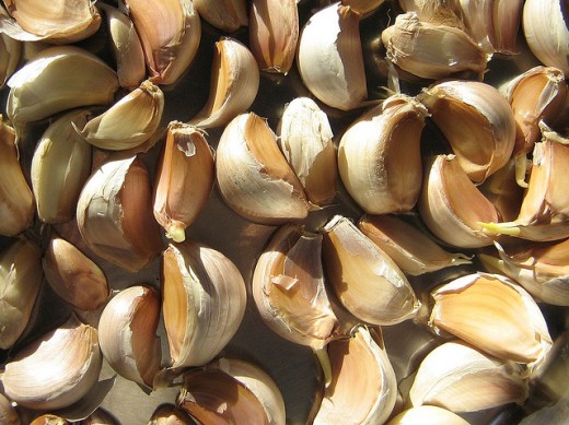 Garlic boasts many health giving properties.