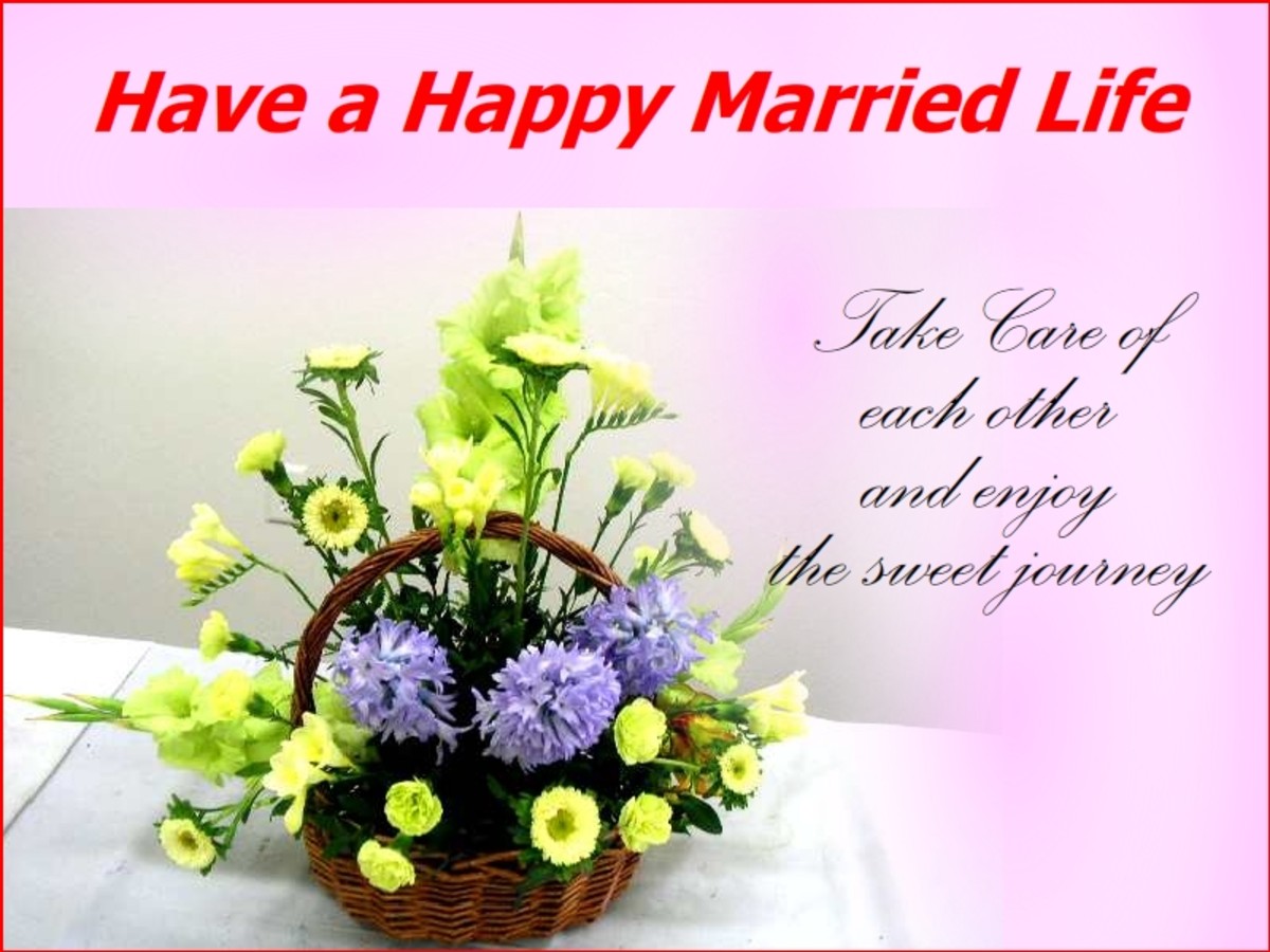 Wedding Wishes: Messages and Quotes  Holidappy