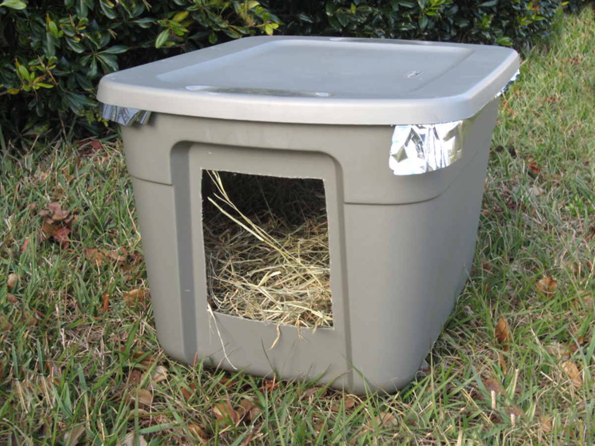 Emergency Cold Weather Shelter for Stray or Feral Cats PetHelpful