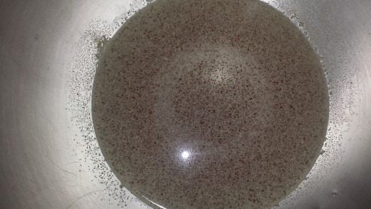 Allow the mixture to sit for 5-10 minutes. The yeast will start to work and bubbles will become visible